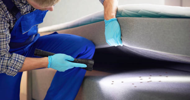 Best Rat Extermination Near Me  in Mastic, NY