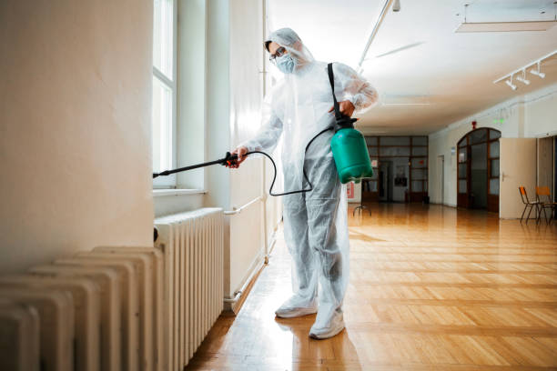 Best Flea Control Services  in Mastic, NY